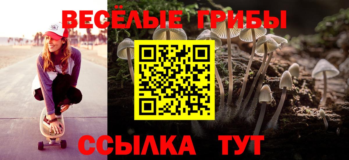 Галлюциногенные грибы MAGIC MUSHROOMS  Псилоцибиновые грибы ЛСД  Псков  Вход с VPN 